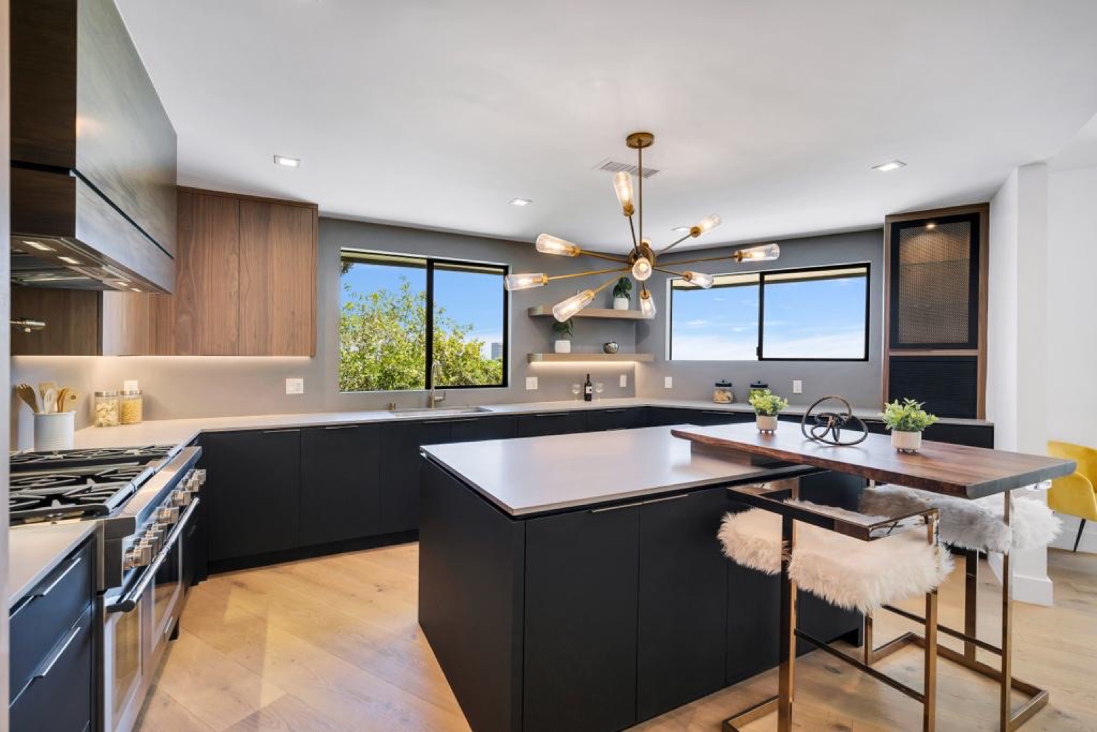Encino: Modern Edge - photo 6